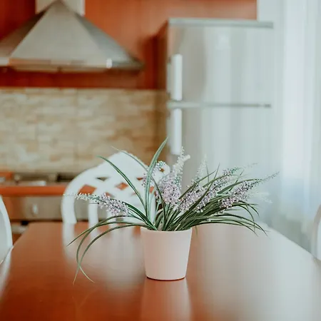 Panoramic Center Appartement