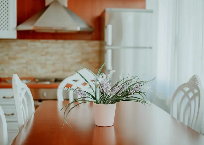 Panoramic Center アパート